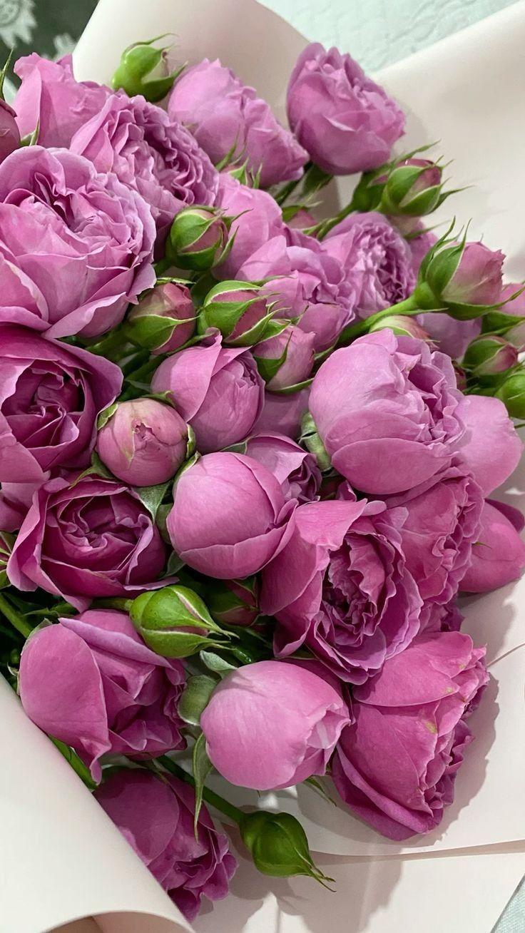 Lumi Spectravo workshop space where corporate flower arrangements are designed and prepared for business delivery